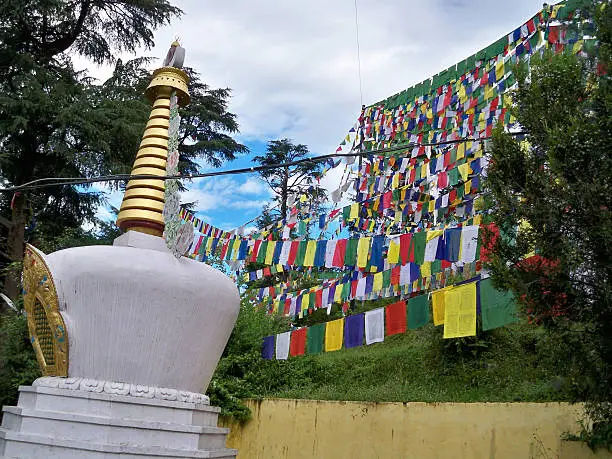 mcleod ganj, manglot ganj
