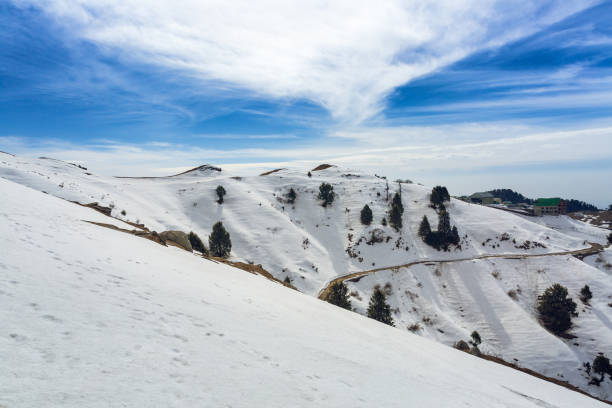 Dalhousie