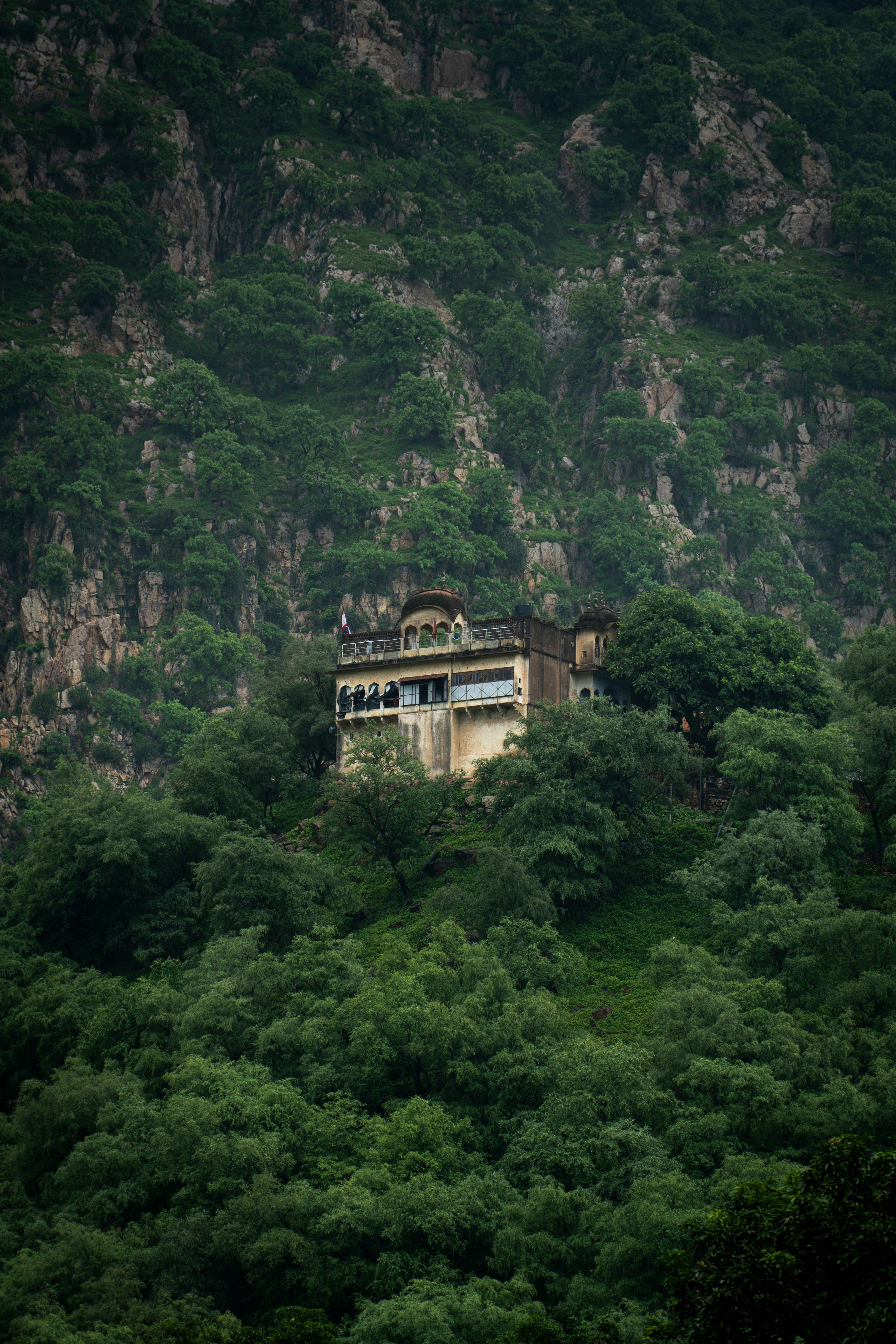 Dharamshala View