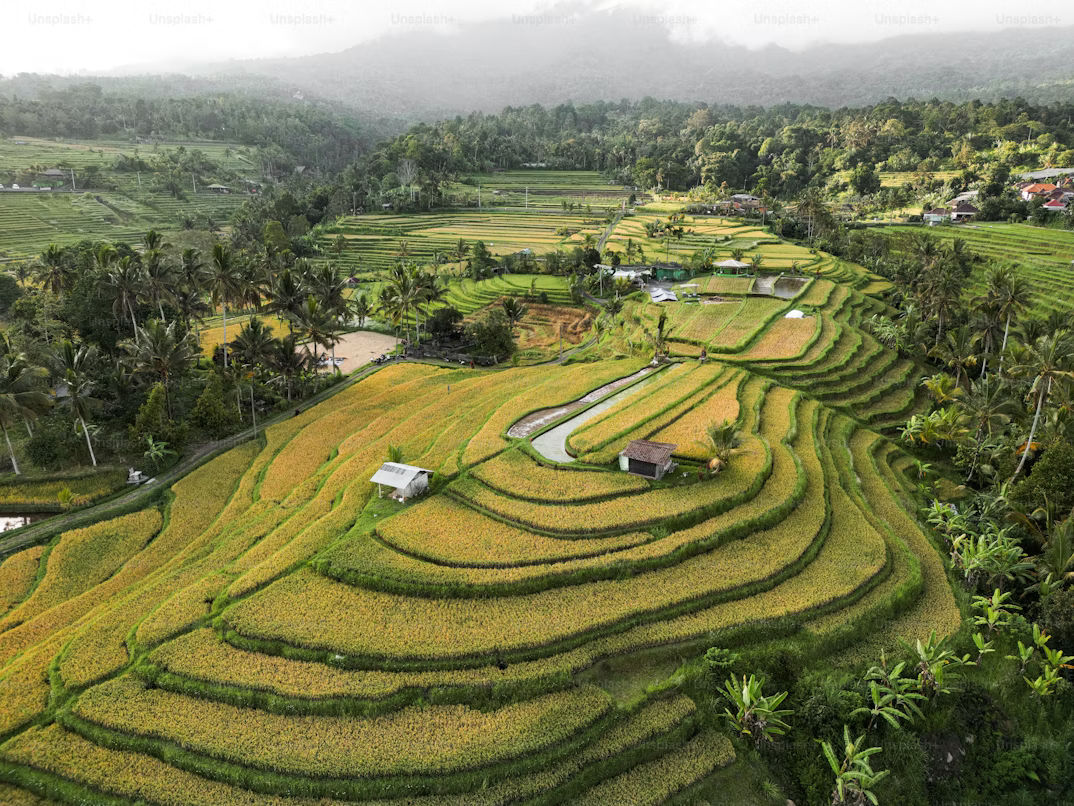 Coonoor