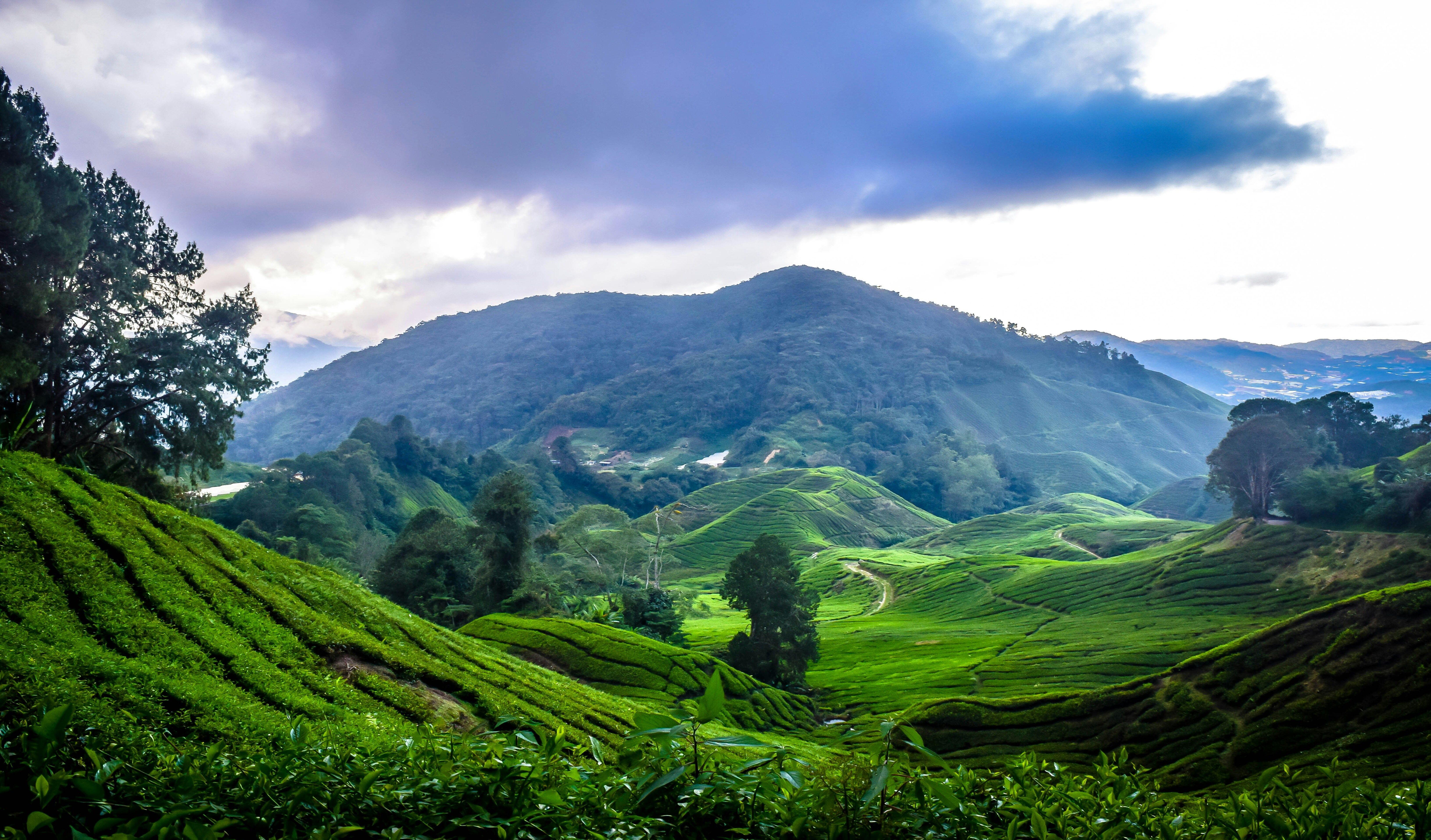 Ooty–Wellington Army Town and Nature Trail