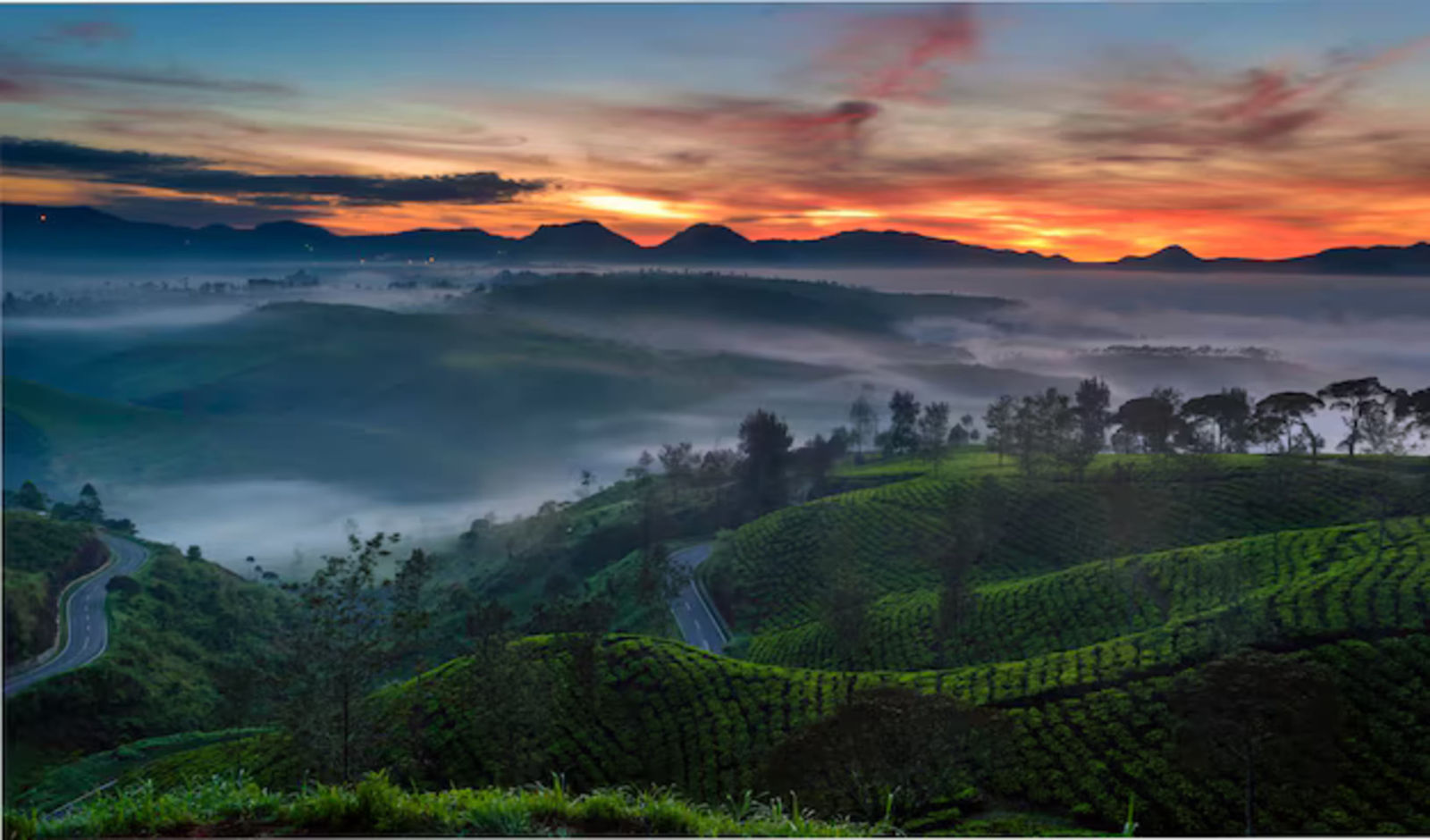Ooty with Toy Train and Coonoor Loop