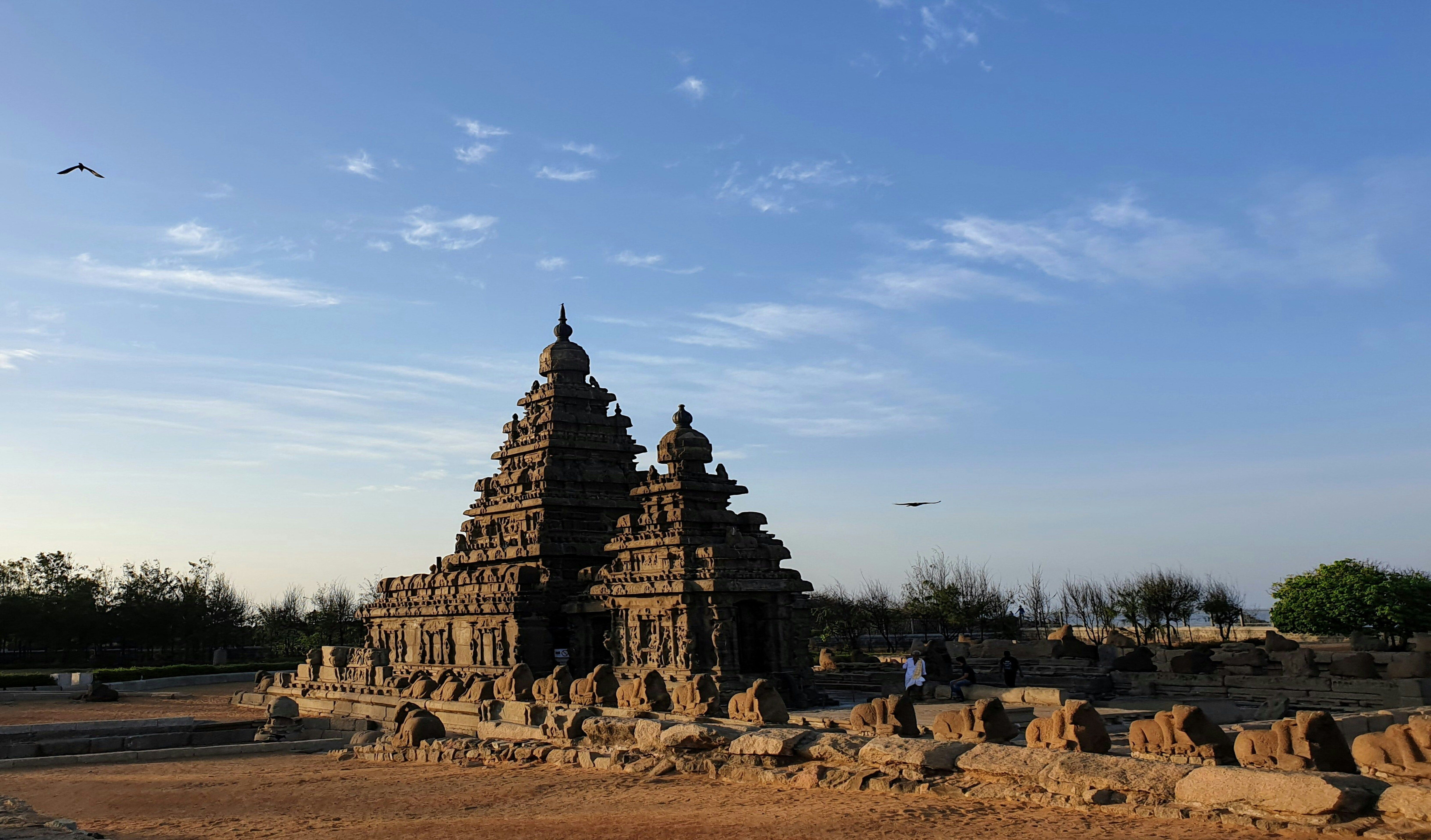 Chennai–Vedanthangal–Mahabalipuram Eco Tour