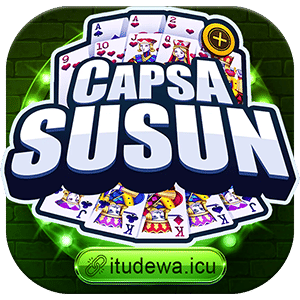 Capsa Susun