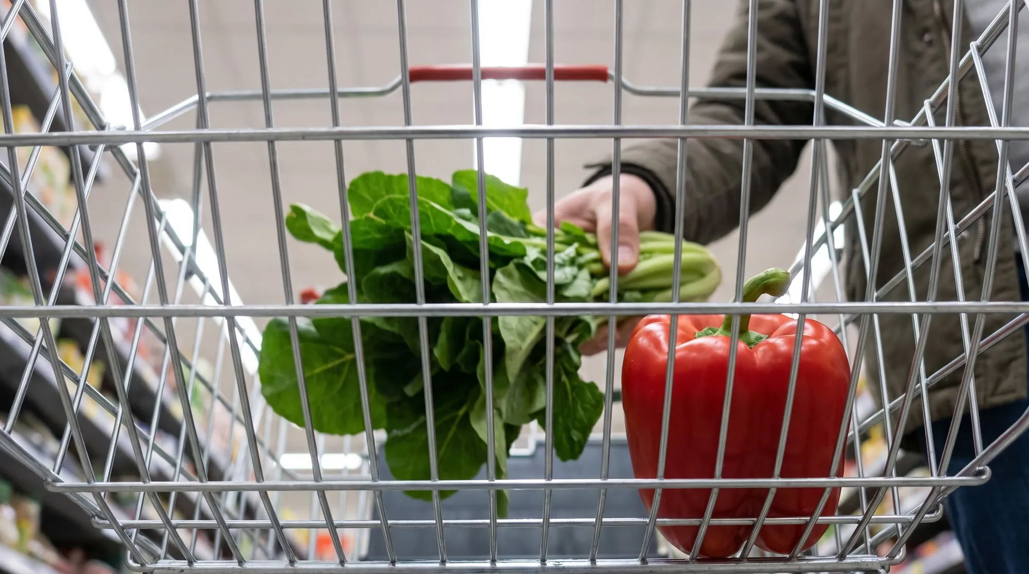 Pessoa colocando folhas verdes e um pimentão vermelho no carrinho de compras