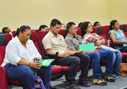 Pre-feasibility Project Picture