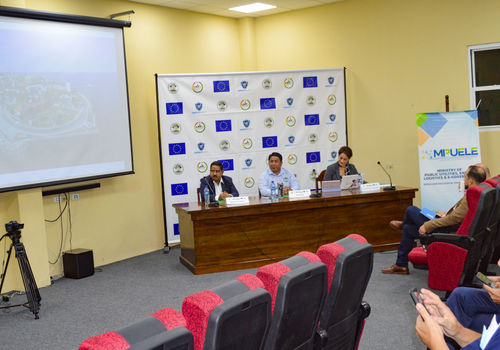 Pre-feasibility Project Picture