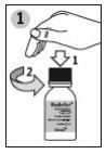 Bula Endofer 50mg/ml - Farmaindex