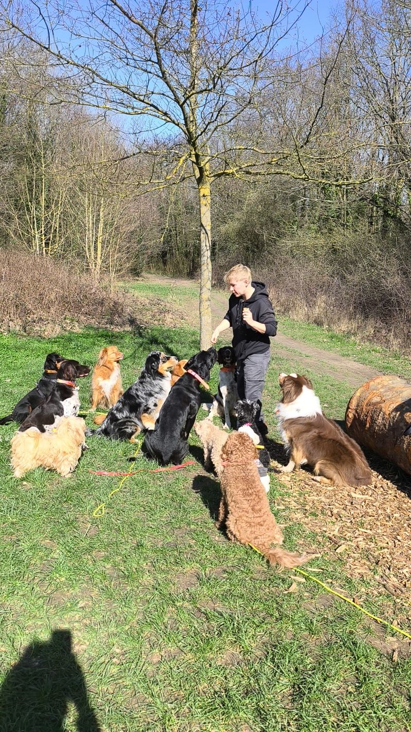 Éducation canine à Paris et Vincennes