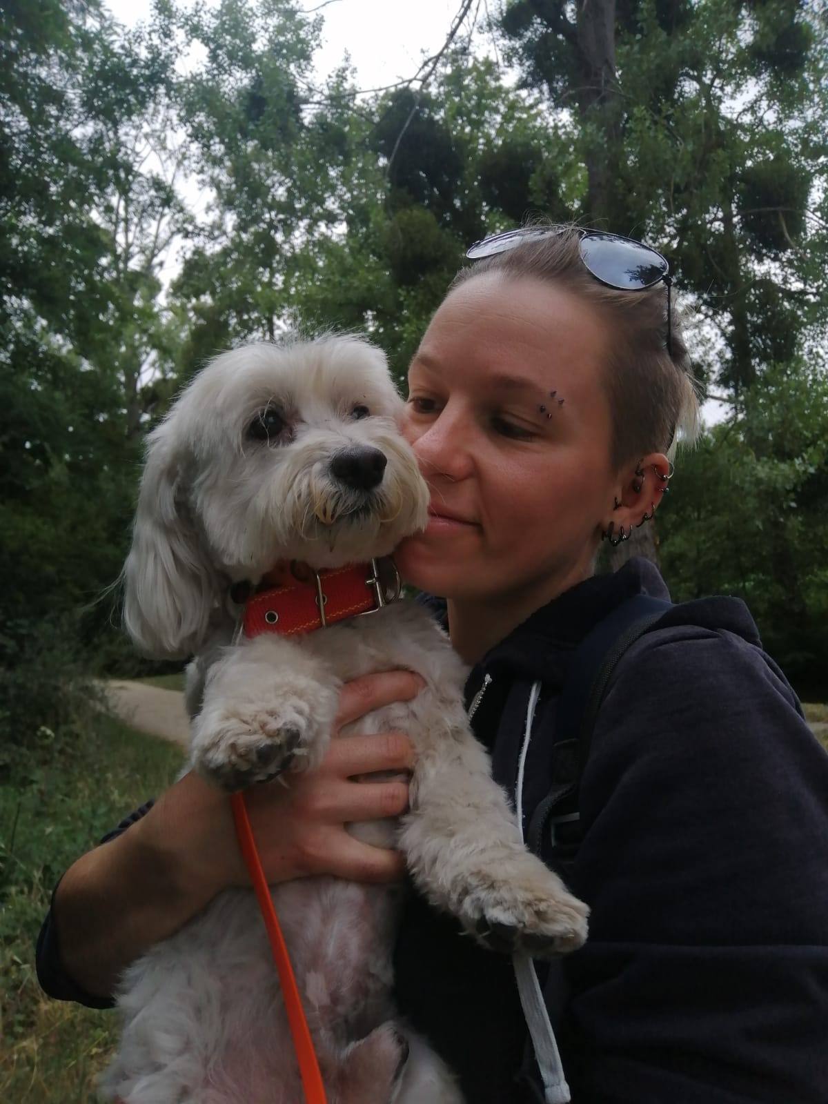 Promenade de chien à Paris 15ème