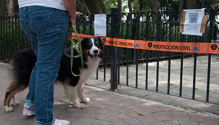 Matan a individuo presunto envenenador de perros en Torreón