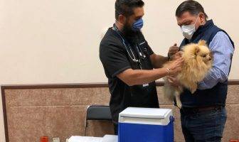 Del 20 al 26 de septiembre vacunación gratuita contra rabia para perros y gatos