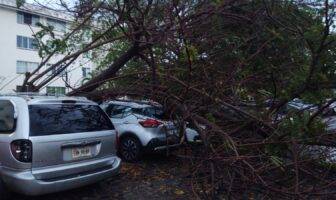 Un vehículo dañado deja la primera tormenta de la temporada