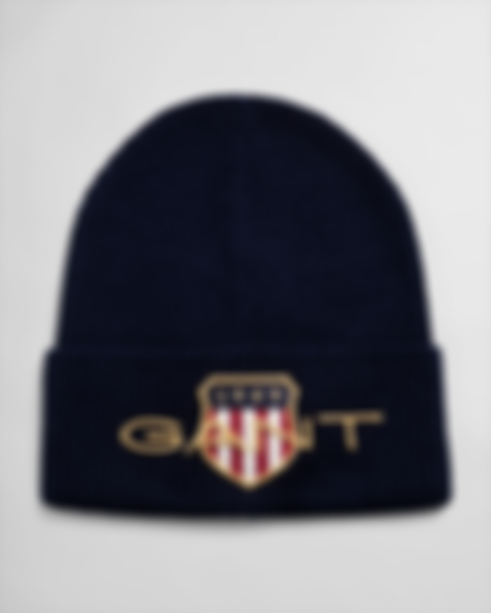 D1. ARCHIVE SHIELD BEANIE