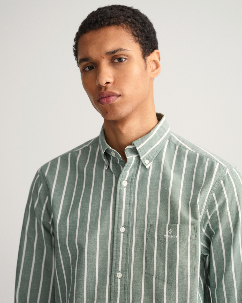 Regular Fit Oxford Wide Stripe Shirt