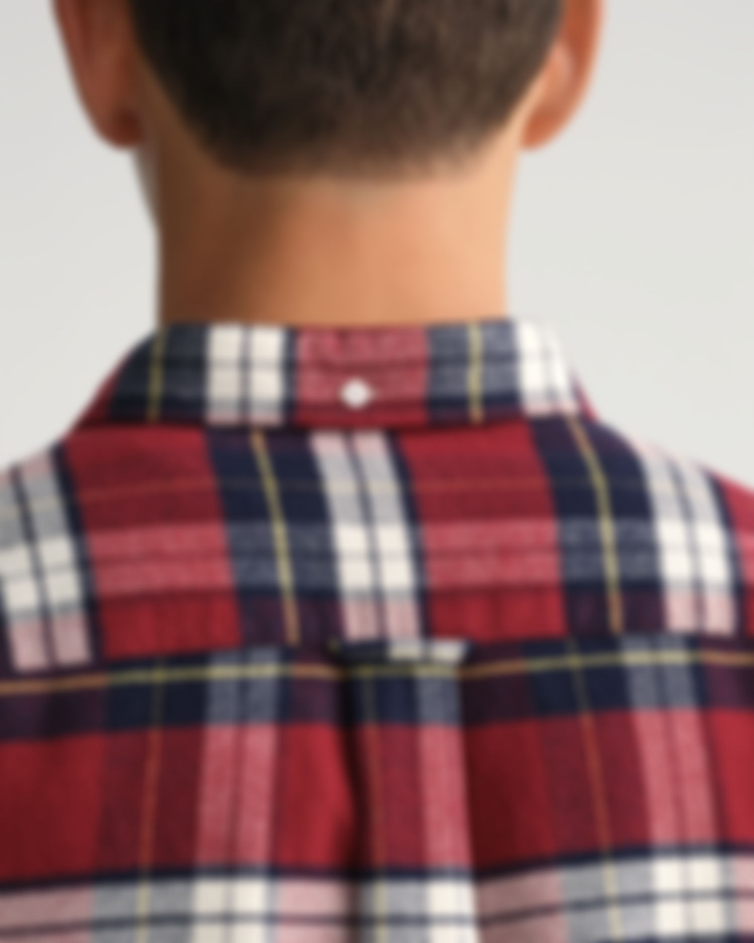 Regular Fit Flannel Check Shirt