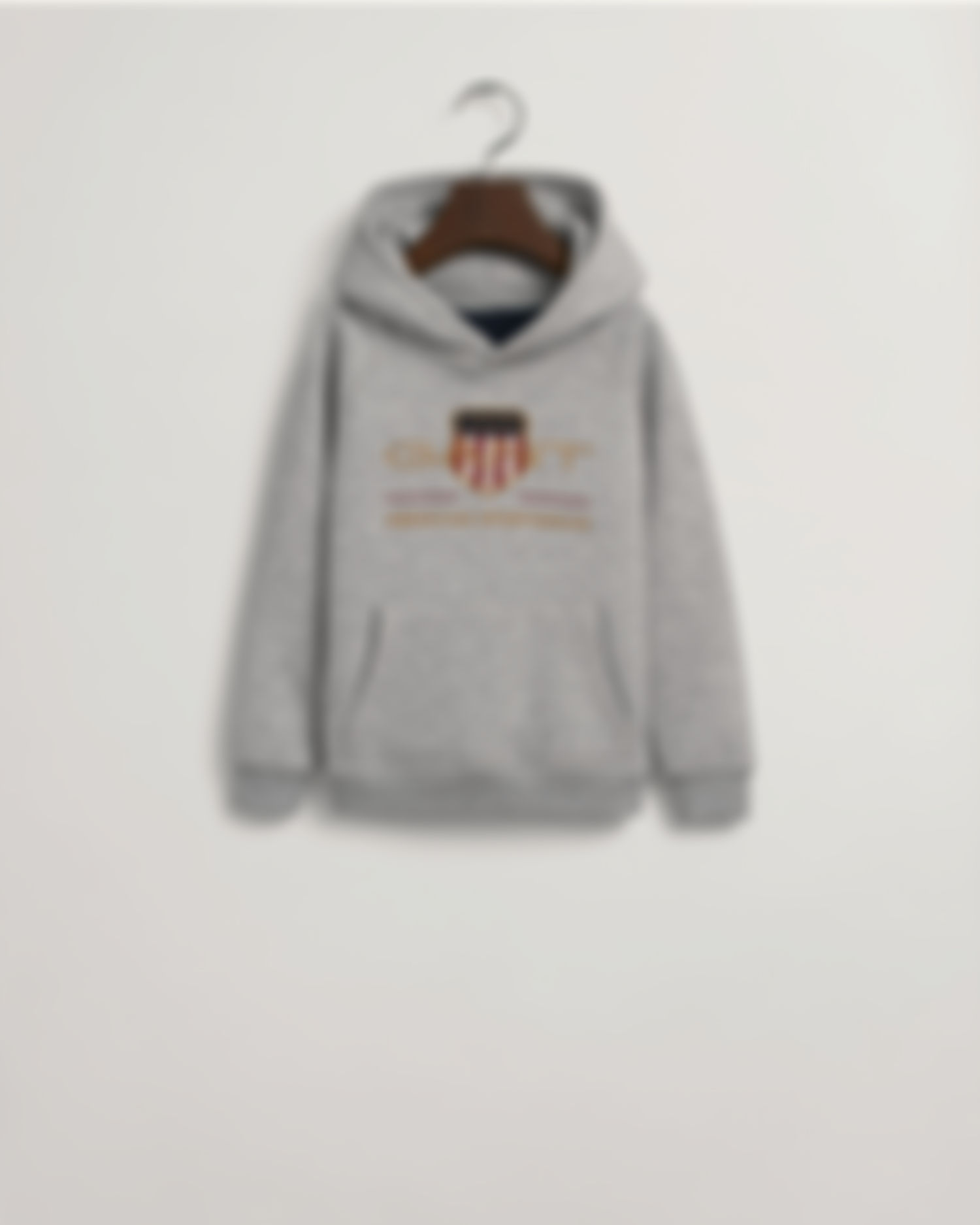 Boys Archive Shield Hoodie