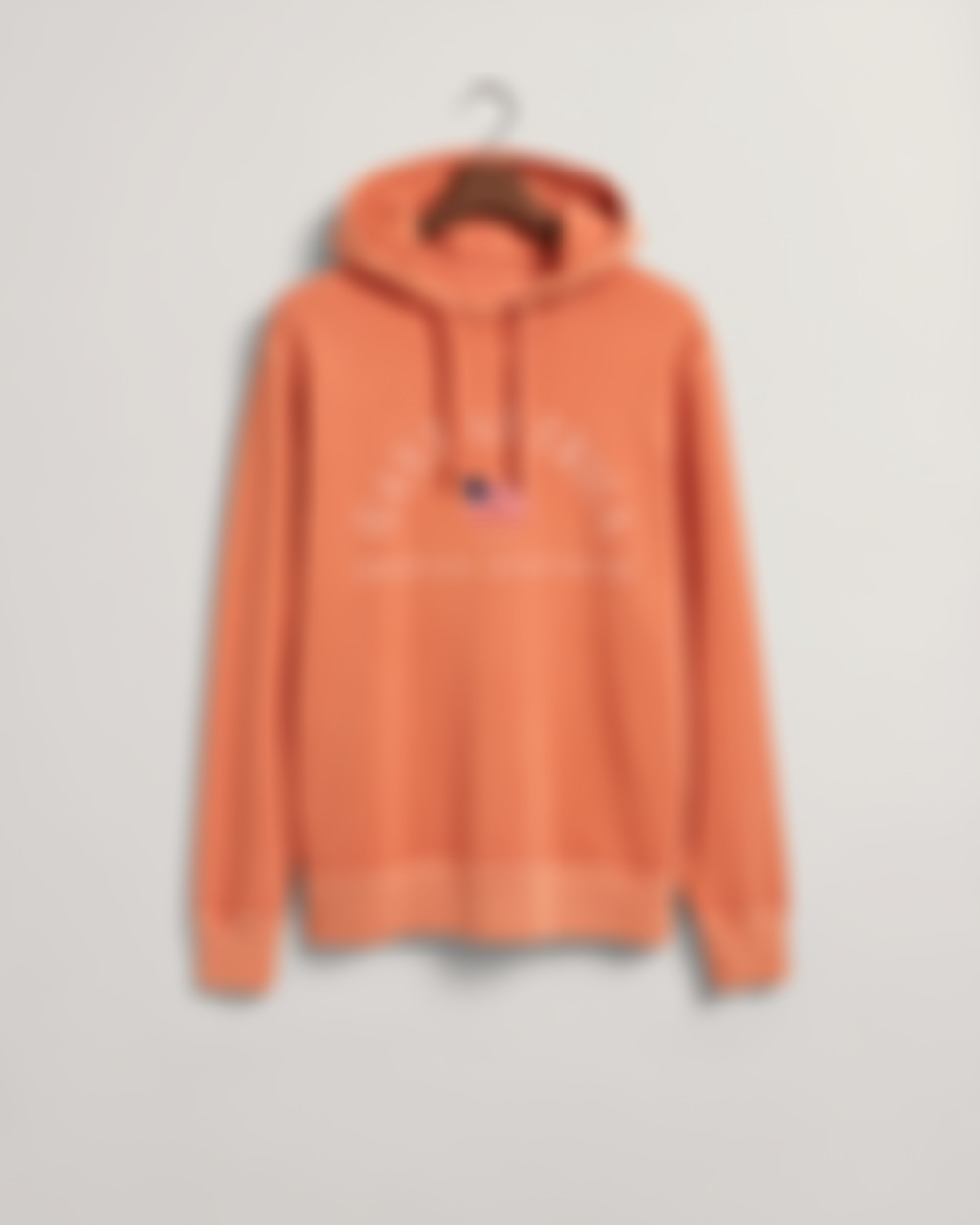 SOLBLEMET GANT USA HOODIE