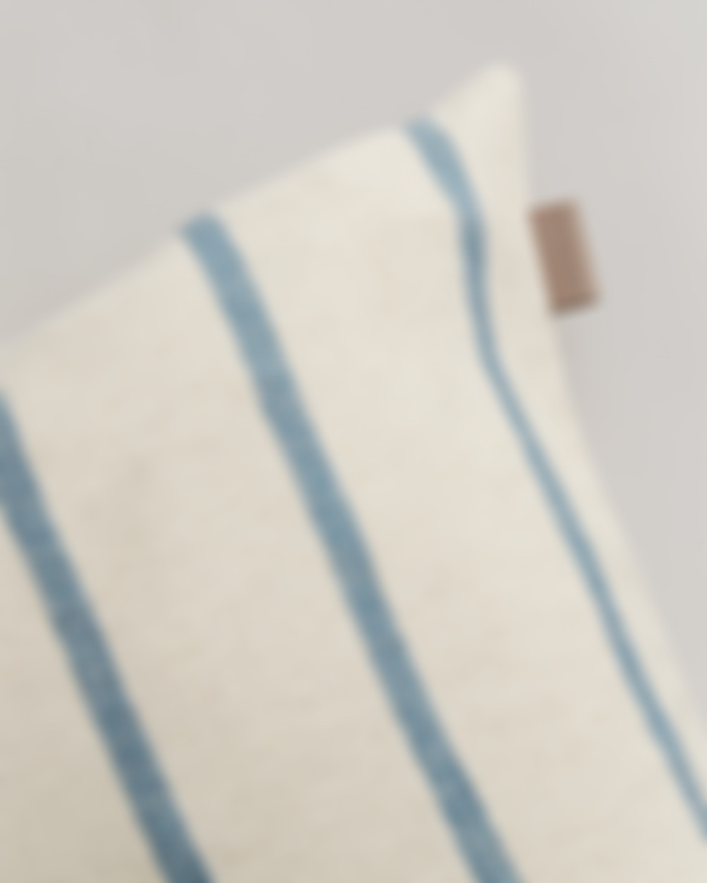 BLUE STRIPE CUSHION