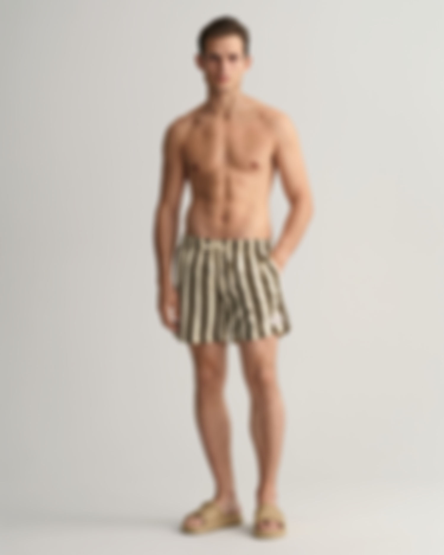 Classic Fit Block Stripe Swim Shorts