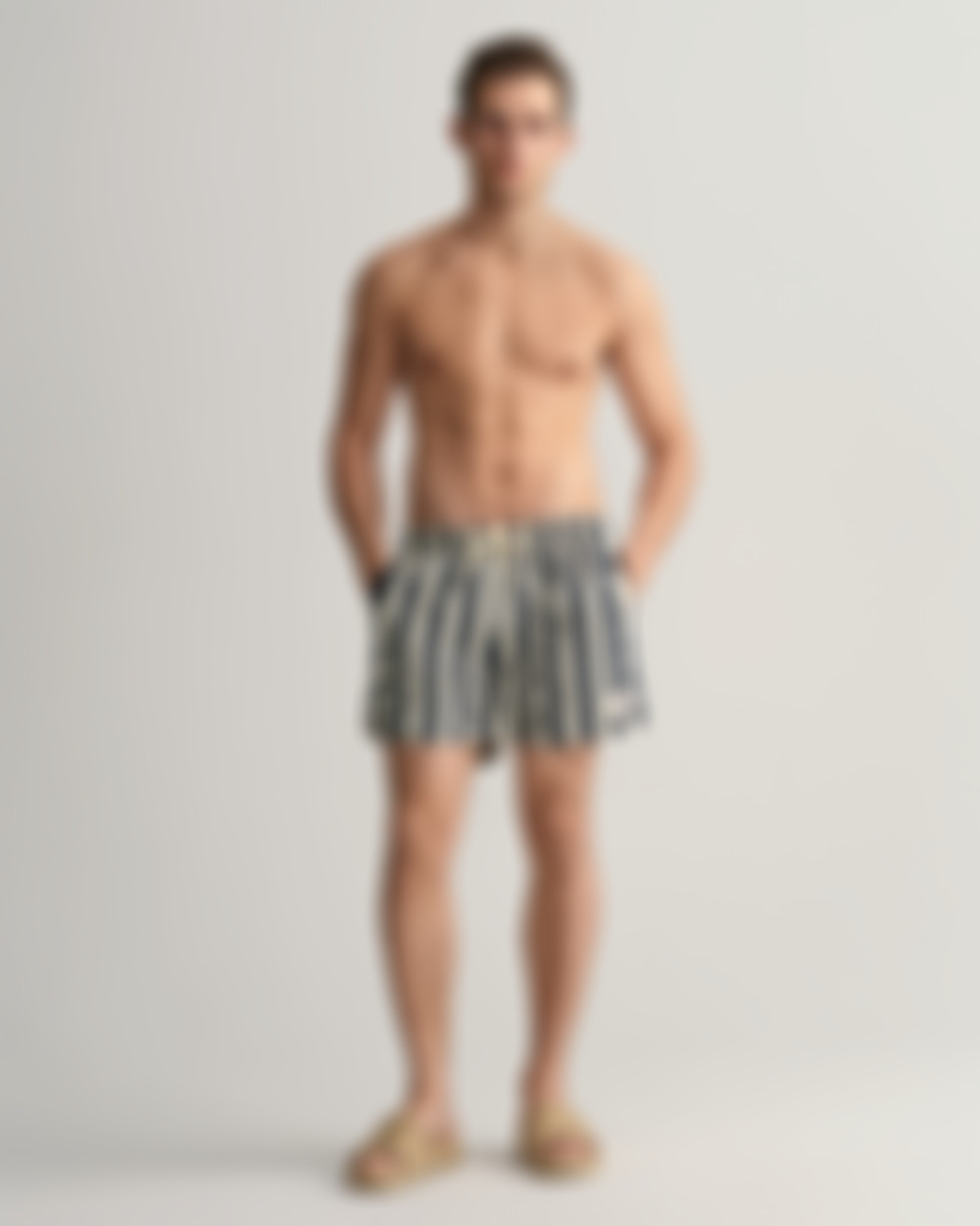 Classic Fit Block Stripe Swim Shorts