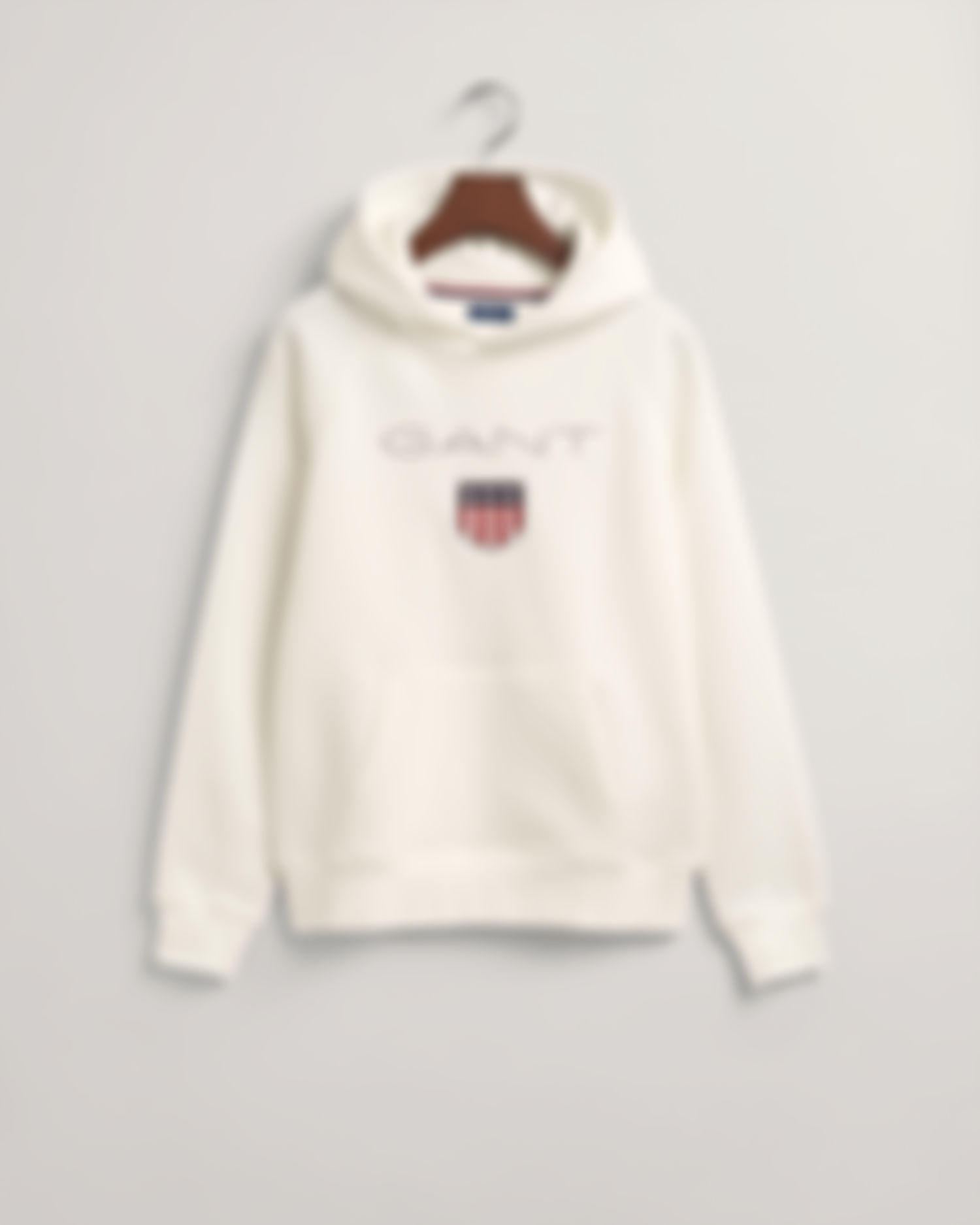 Teens GANT Shield Hoodie