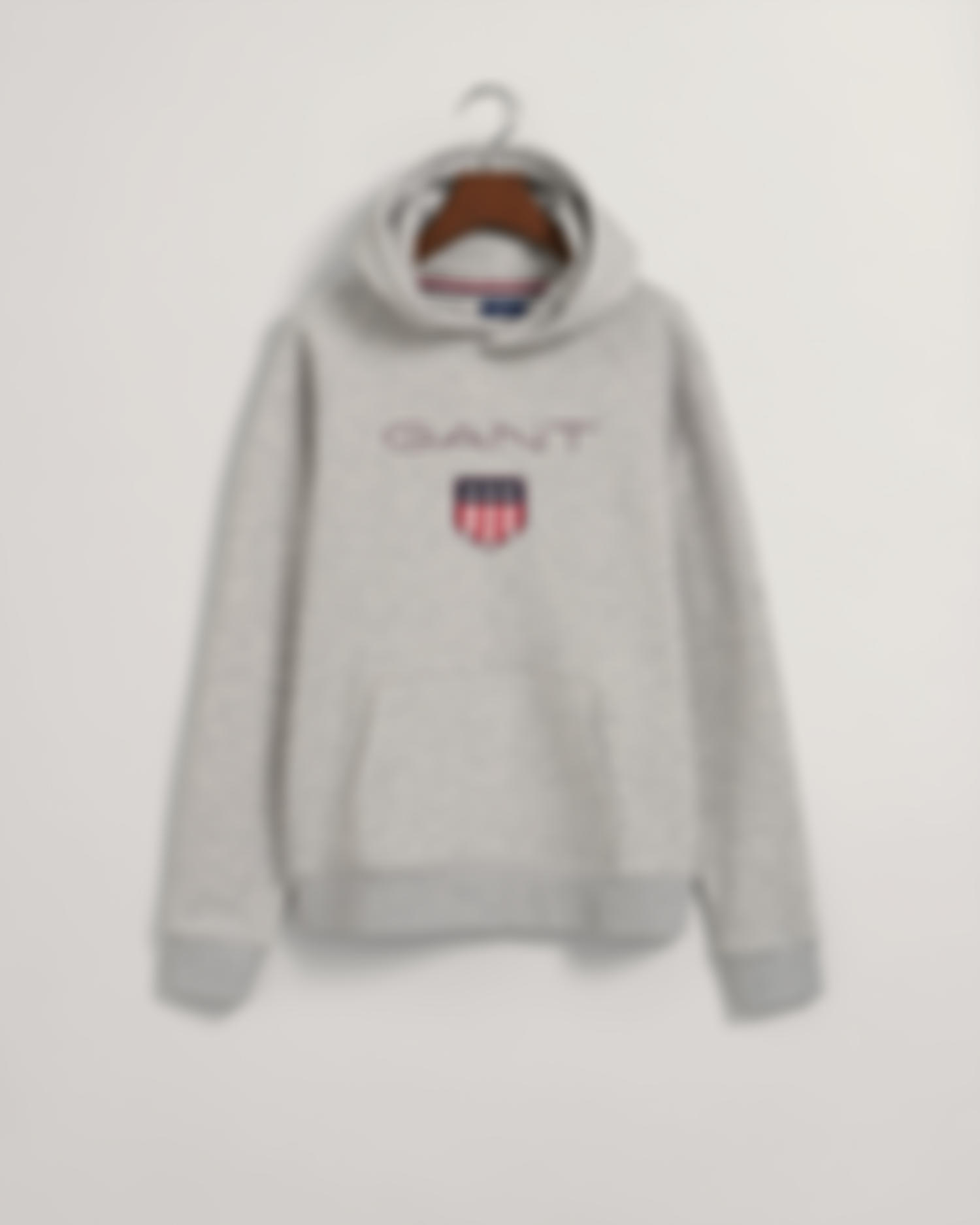 Teens GANT Shield Hoodie