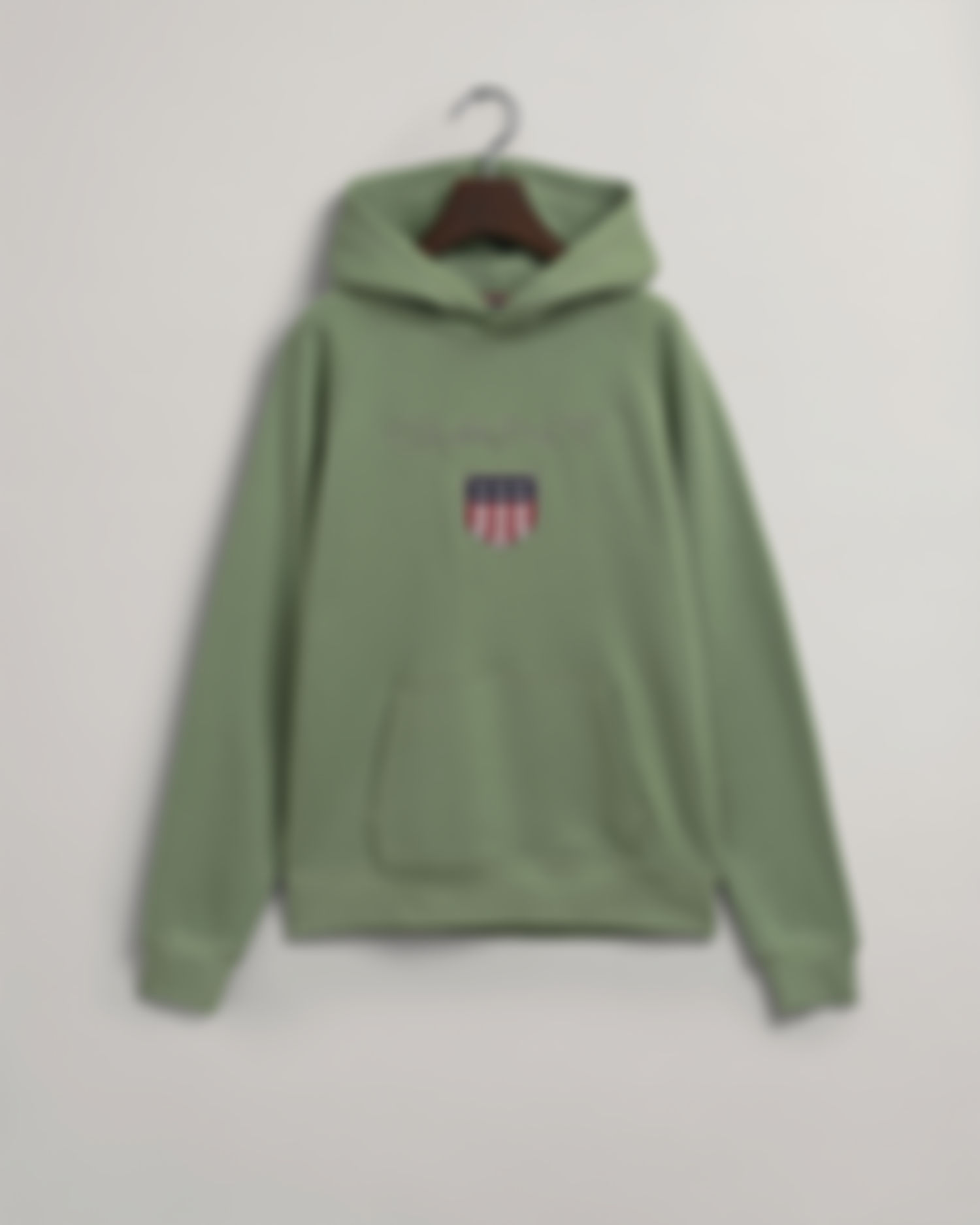 Teens GANT Shield Hoodie