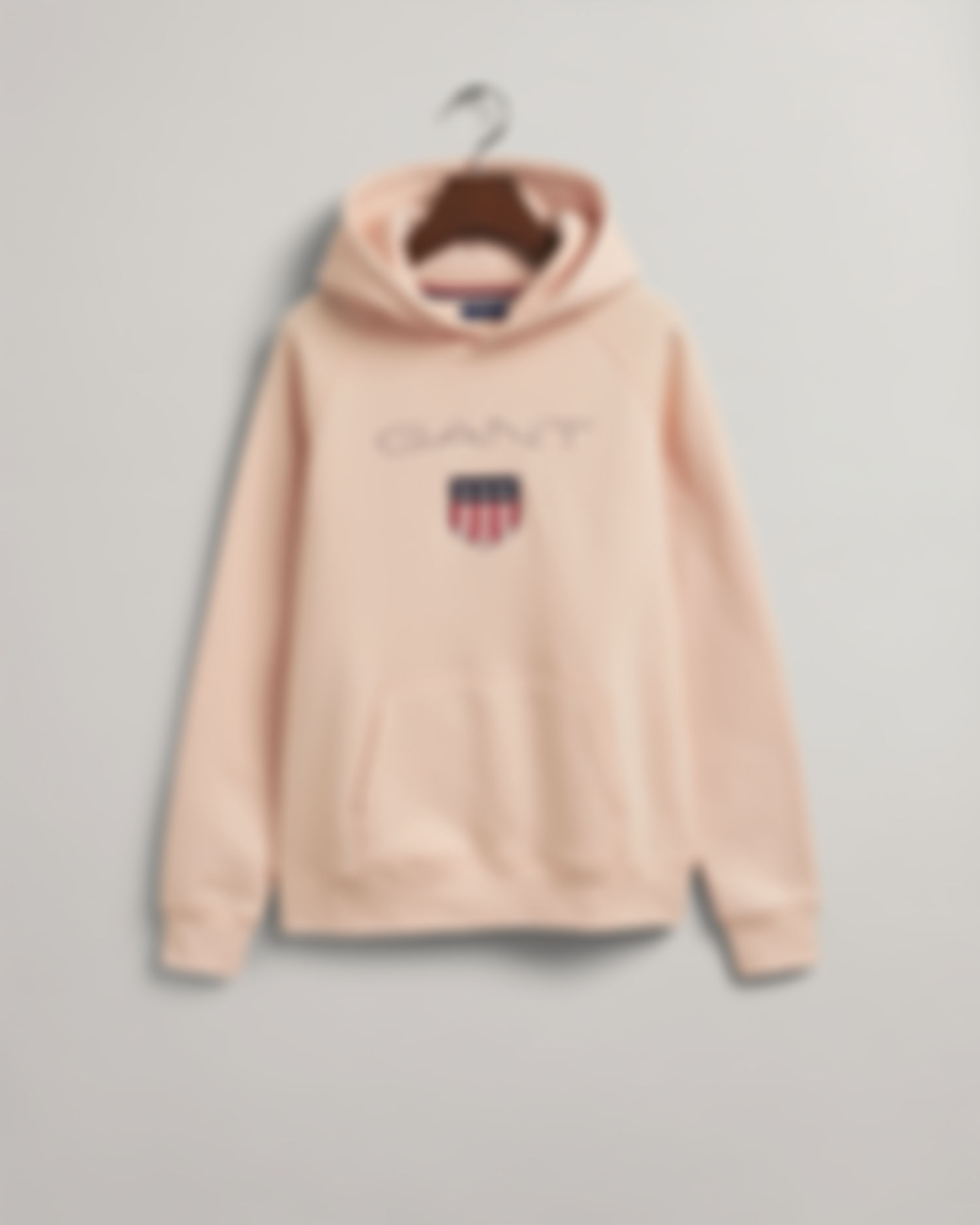 Teens GANT Shield Hoodie