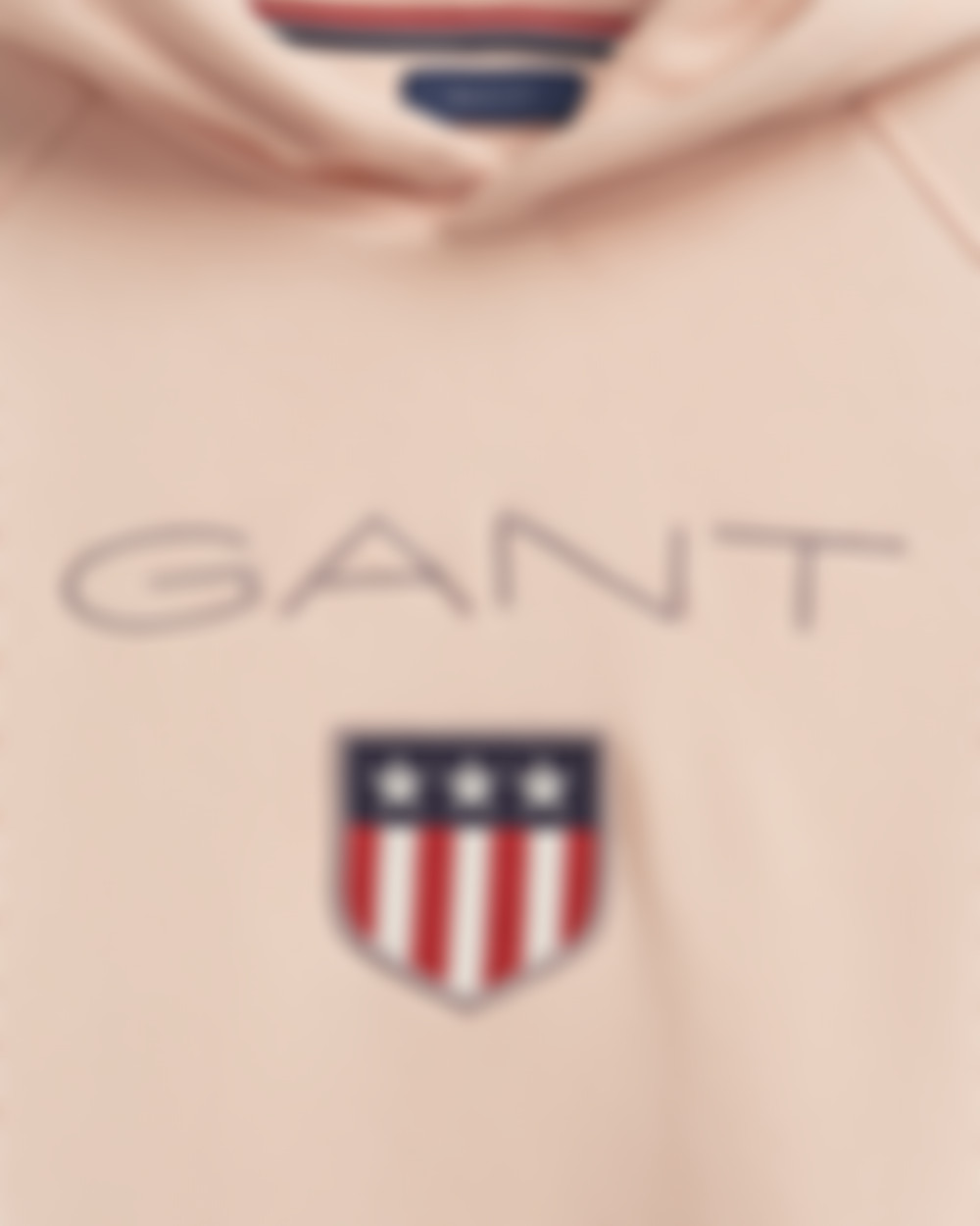 Teens GANT Shield Hoodie