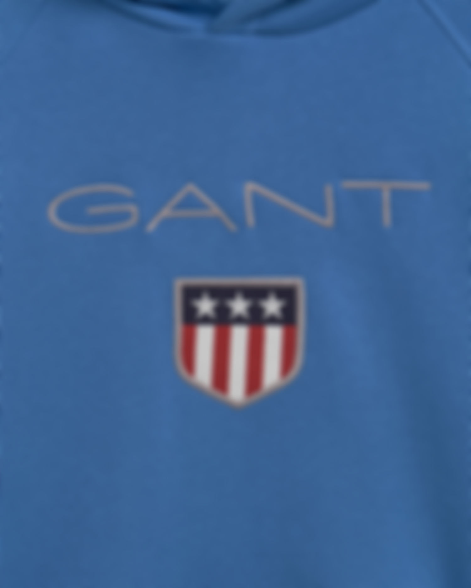 Teens GANT Shield Hoodie