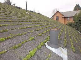 How to kill moss on your roof.