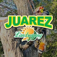 Juarez Landscaping and Tree Se...