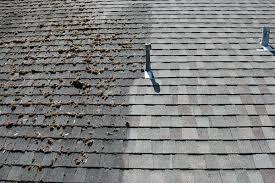 Soft Wash Roof Cleaning