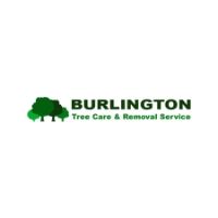 Contractors Burlington Tree Care & Removal Service in Burlington NC