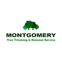 Contractors Montgomery Tree Trimming & Removal Service in Montgomery AL