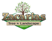 Zacarias Tree & Landscaping