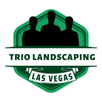 Contractors Trio Landscaping Las Vegas in Las Vegas NV