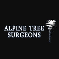 Alpine Tree Surgeons Guildford