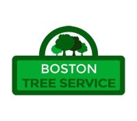 Contractors Boston Tree Service in Boston MA