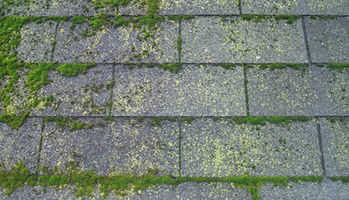 Removing Moss from Your Roof