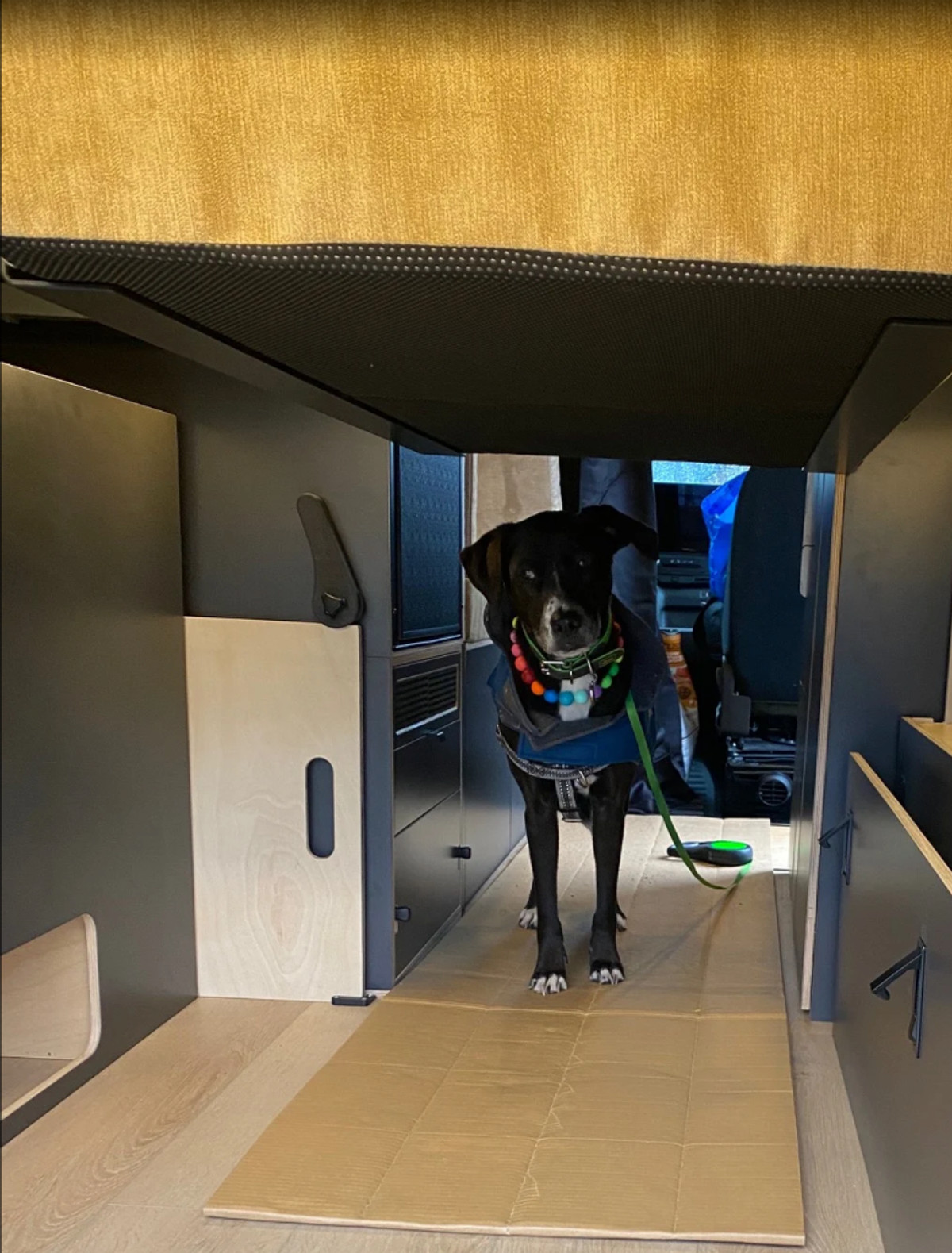 Shannon O'Regan — Custom Build