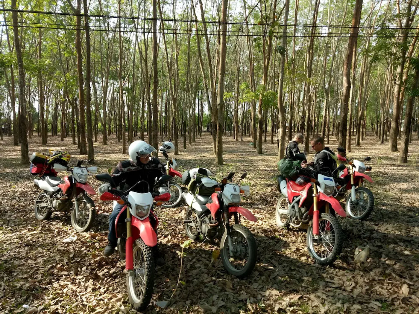 15 Day Vietnam Laos Motorcycle Tour: Hanoi to Saigon via Luang Prabang