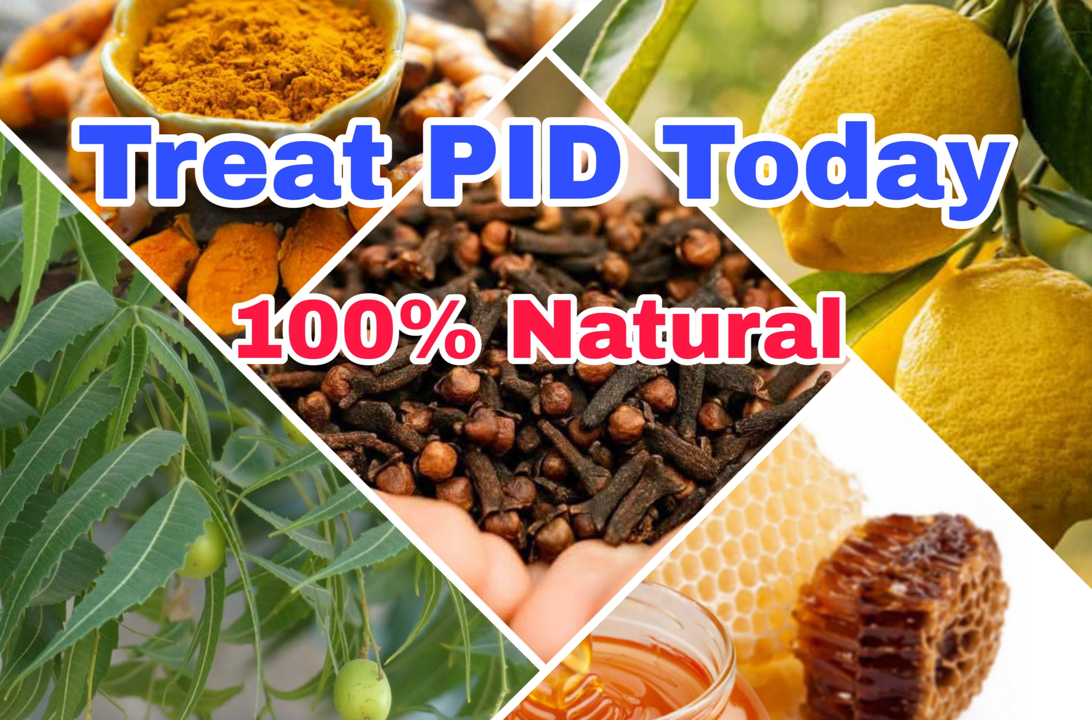 Pelvic Inflammatory Disease (PID): Causes, Symptoms, and Herbal Remedies in Africa