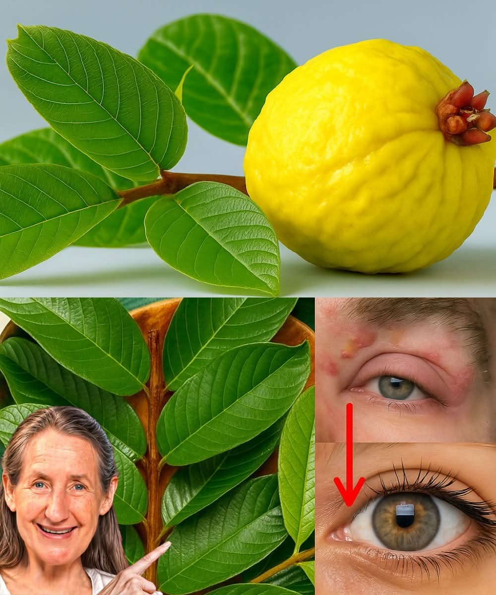 How to use guava to treat eye problems — natural remedies for the eyes.