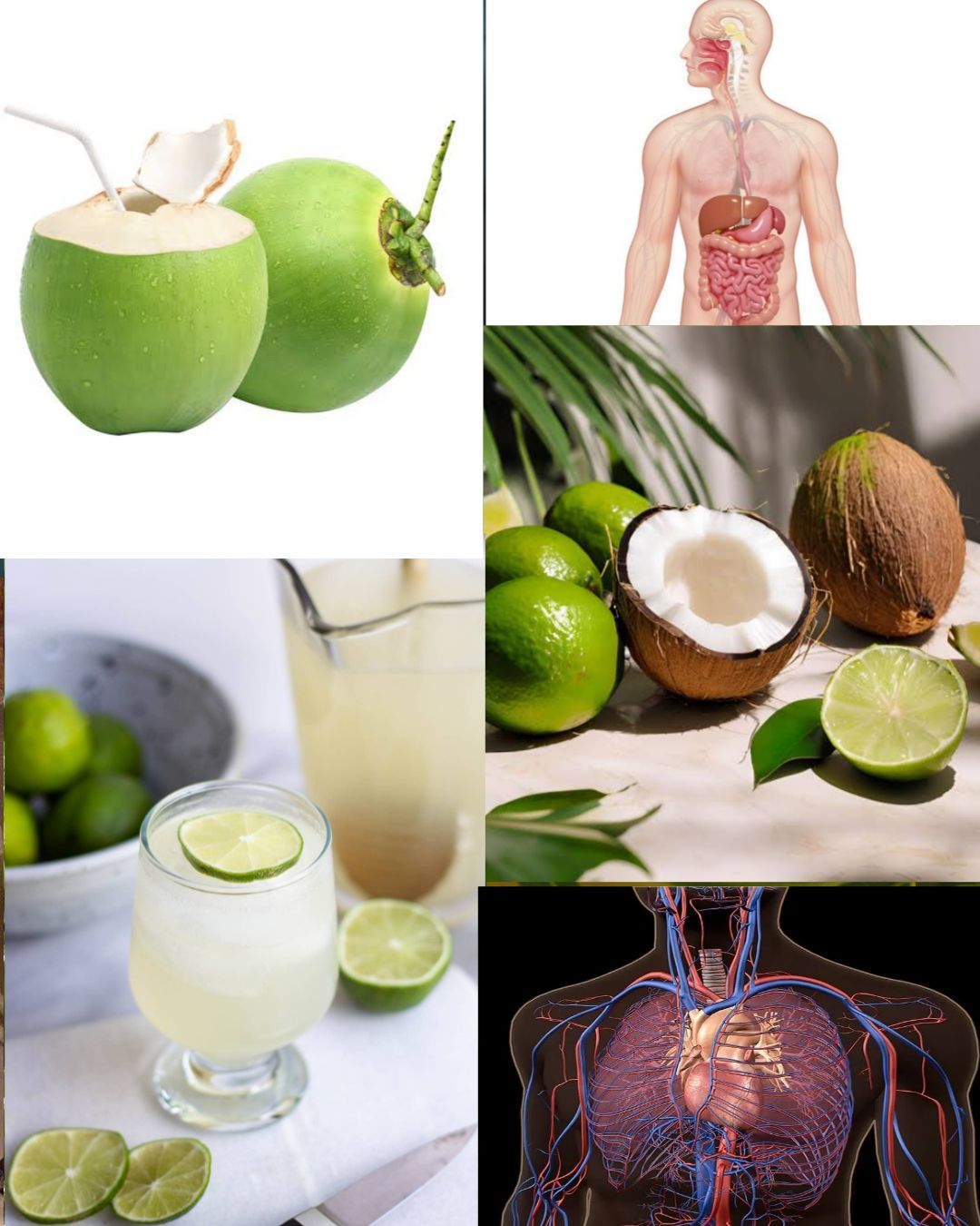 Coconut Water and Lime Juice Early Morning