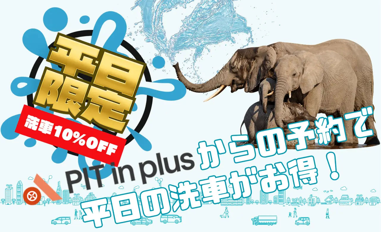 洗車キャンペーン