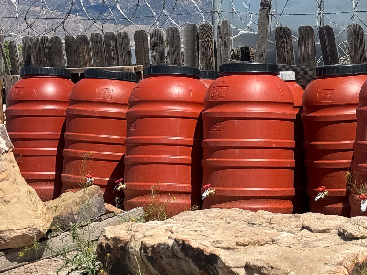 Rain Barrels