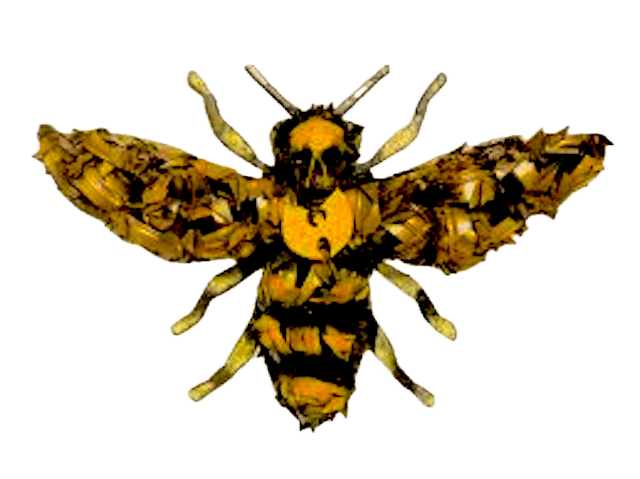 Wu%20Bee.png