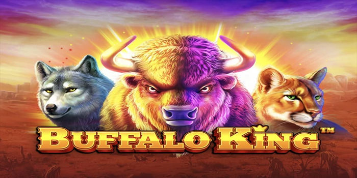 Cara Menemukan Slot Gacor Setiap Hari Di Buffalo King